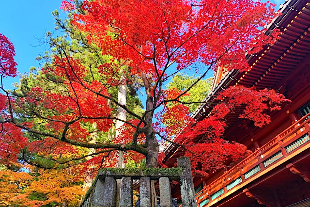 日光の紅葉