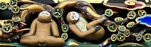 【四面目】上を見る猿