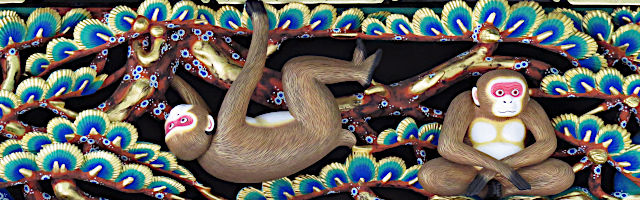 【六面目】物思いにふける猿