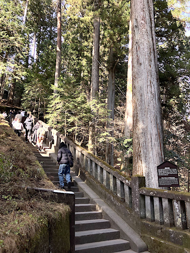 奥宮参道（石段・石畳）