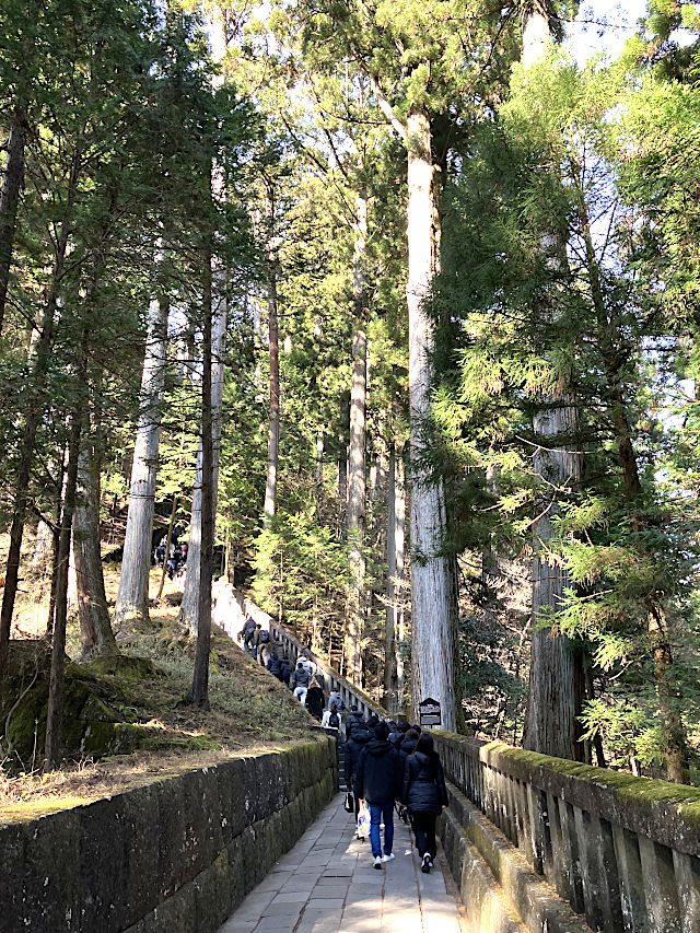 日光東照宮 奥社207段の石段