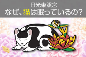日光東照宮の眠り猫の意味と秘密に迫る！どこにあり、作者は誰か？