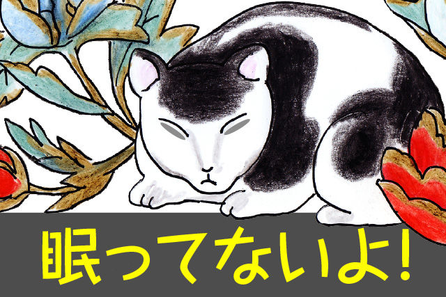 眠ってないよ！